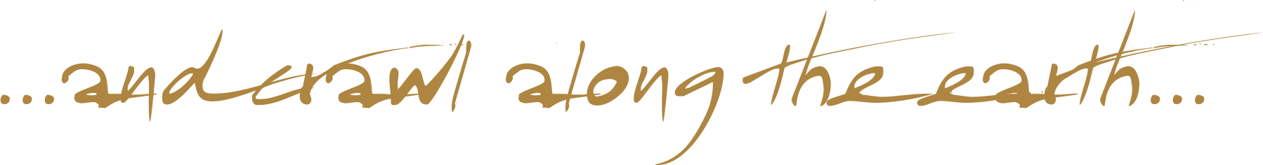 1751616358865.png