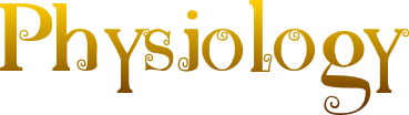 6adac024a0f3d50a7909e459ba265084.png