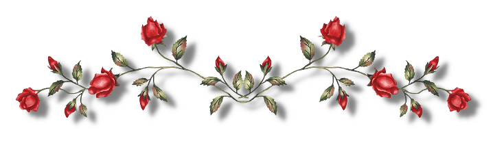 d5uo6y3-c7e4aa93-9305-4329-8fd5-d3f347698e08.png