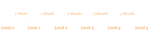 Untitled(1).png